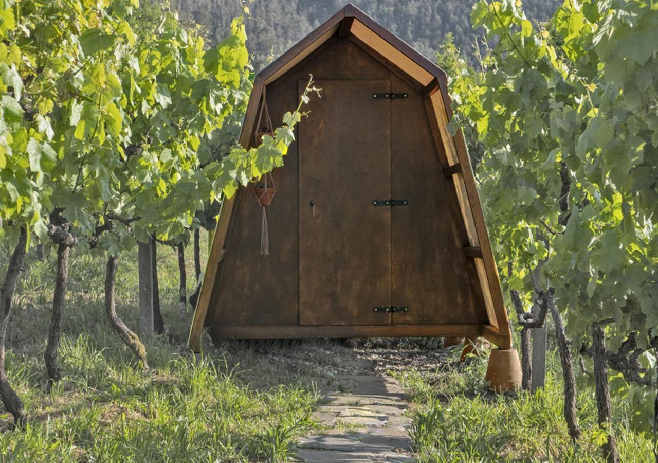 Cimo Da Vinha - Nature Spot Castelo de Paiva Exterior photo